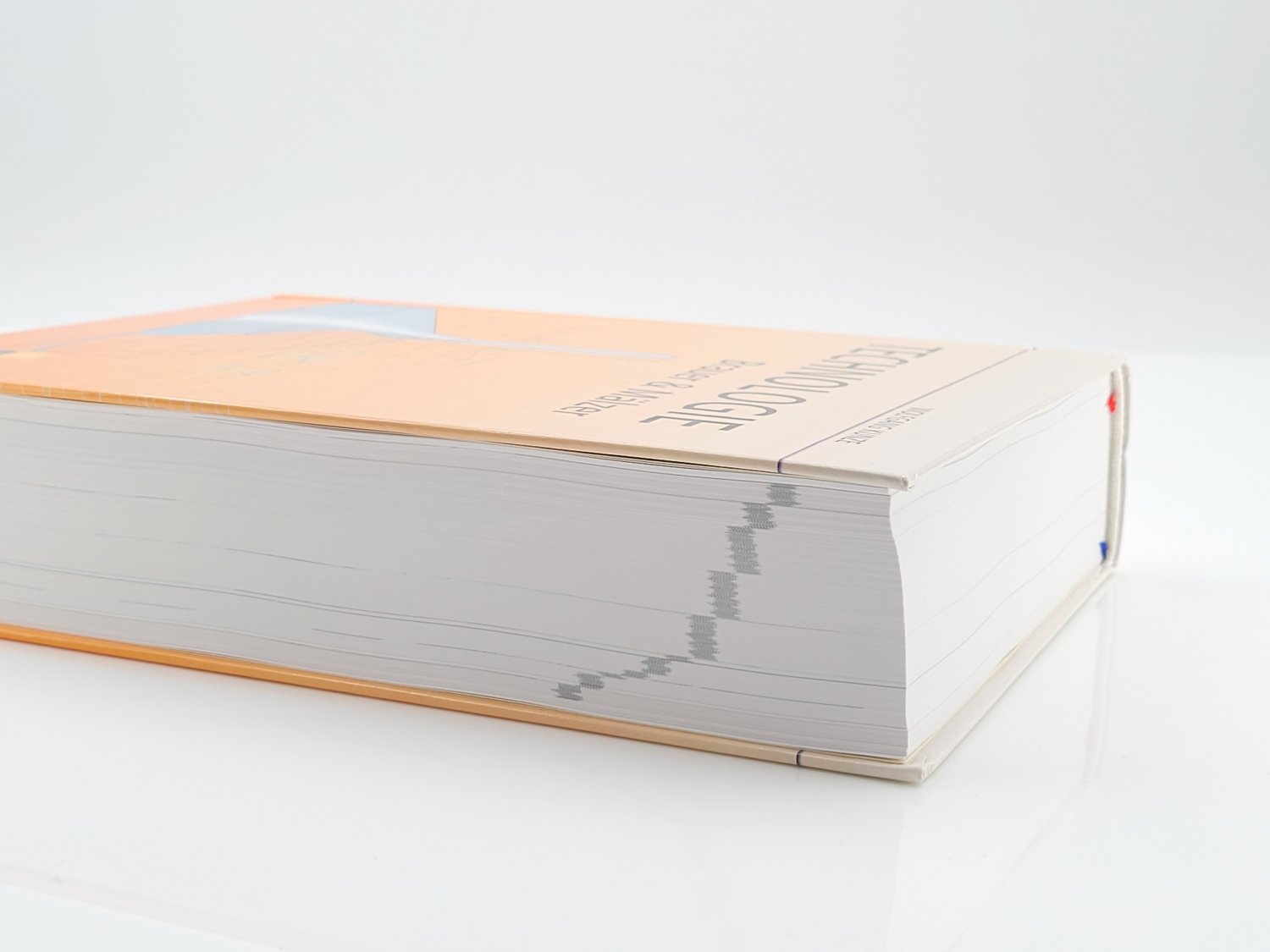 Technologie Brauer & Mälzer “ (Wolfgang Kunze) – Buch gebraucht